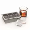 Cocktail & Bar * | Cheap True Colossal 2 Ice Cube Tray Gray